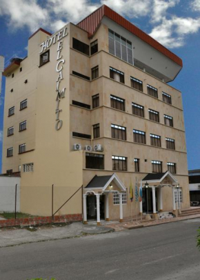 Гостиница Hotel el Caimito  Виллависенсио